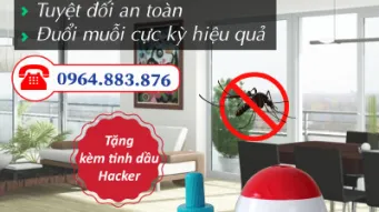 Tác dụng của tinh dầu nguyên chất đối với sức khỏe